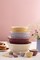 Mason Cash In The Meadow Size 12, Size 18, Size 24 Mixing Bowl Set of 3